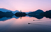 Birds swimming on Lake Bled at sunrise, Bled, Gorenjska, Slovenia, Bled, Gorenjska, Slovenia