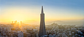 Aerial view of skyscraper in San Francisco city skyline, California, United States, San Francisco, California, USA