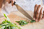 Mixed race woman chopping herbs, Jersey City, New Jersey, USA