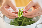 Close up of mixed race man shucking peas into colander, C1