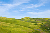 Hills and blue sky in rolling landscape, Keene, California, United States