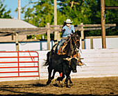 Caucasian cowgirl on horse throwing lasso in rodeo on ranch, Joseph, Oregon, USA