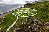 High angle view of sheep pens on rural cliff, Hvammstangi, Iceland, Iceland