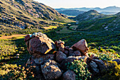 Rocks in grassy field in remote landscape, Kamieskroon, Northern Cape, South Africa