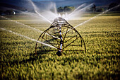 Irrigation system watering crops on farm field, Joseph, Oregon, USA