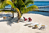 Deck chairs and palm trees on tropical beach, Florida Keys - Big Pine Key, Florida, United States