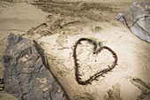 High angle view of knotted seaweed in heart shape on beach, Sayulita, Nayarit, Mexico