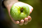 Hand holding fresh green apple