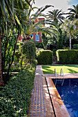 Morocco, Tangier, garden of a villa, swimming pool