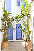 Morocco, Asilah, house entrance with blue doors in medina