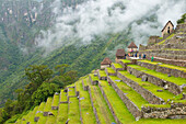 'South America, Peru, Cuzco region, Urubamba Province, Unesco World heritage since 1983, Machu Picchu (''old mountain''), stairs'