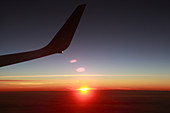 Plane wing. Sunset.