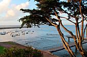 France, Brittany, Croisic harbour at dusk