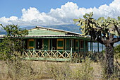 Dominican Republic, Barahona, isla cabritos National Park, Lake Enriquillo, landscape cactus