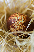Dyed Egg in Nest, Close-Up