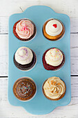 Assortment of Frosted Cupcakes on Blue Tray, High Angle View
