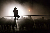 Silhouette of Cowboy Sitting on Fence, Rear View