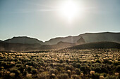 Desert Landscape with Silhouette of Mountains in Background, New Mexico, USA