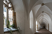 ehemalige Kloster Möllenbeck, Klosterkirche, offener Kreuzgang, Efeu, Schnee, Rinteln, Niedersachsen, Norddeutschland, Deutschland