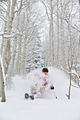 A man skiing fresh powder in the aspen trees of Snowbird, Utah
