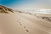 Footprints in the sand on Bullards Beach, Bullards Beach State Park, Oregon.