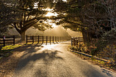 A country road on sunset near Big Sur, California