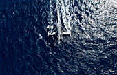 Onboard l'Hydroptere DCNS Alain Thebault and his crew (Yves Parlier, Jean le Cam, Jacques Vincent, Luc Alphand)  during the first series of trials on the Med before trying to beat the Pacific crossing record between Los Angeles and Honolulu next summer. L