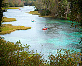 'Rainbow Springs State Park.  The spring formation is the fourth-largest in Florida, and produces over 490 million gallons of crystal-clear water daily. Rainbow Springs forms the headwaters of the Rainbow River, which empties into the Withlacoochee River.