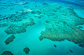 An aerial view of the Great Barrier Reef, UNESCO World Heritage Site, Queensland, Australia, Pacific