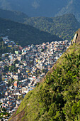 View of Rocinha favela and the forest of Tijuca National Park, Rio de Janeiro, Brazil, South America
