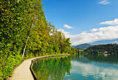 Lake Bled (Blejsko jezero), Bled, Julian Alps, Slovenia, Europe