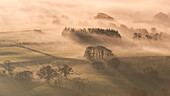Mist covered rolling countryside at dawn in autumn, Lake District, Cumbria, England, United Kingdom, Europe