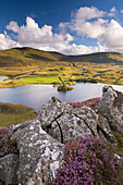 Llynnau Cregennen and Cadair Idris in autumn, Snowdonia National Park, Wales, United Kingdom, Europe