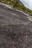 Leiknes Rock Paintings depicting a killer whale, drawn by the ancestors of the Saami perhaps 9000 years ago, Leiknes, Troms, Norway, Scandinavia, Europe