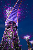 Gardens by the Bay at night, Singapore, Southeast Asia, Asia