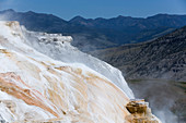 Mammoth Hot Springs, Yellowstone National Park, UNESCO World Heritage Site, Wyoming, United States of America, North America