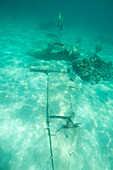 Seaplane from the James Bond film, Bahamas, West Indies, Central America