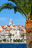 Picturesque Old Town Korcula and harbour, Korcula, Dalmatia, Croatia, Europe