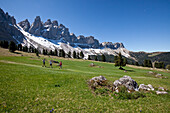 The Puez-Odle Nature Park, a very special place for nature lovers offering many hiking trails, peaks and flower fields, Funes, South Tyrol, Italy, Europe
