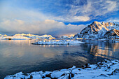 The feeble light of the sunset on a fjord near Henningsvaer covered in snow, Lofoten Islands, Arctic, Norway, Scandinavia, Europe