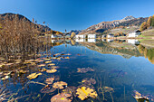 The little village of Tarasp in Low Engadine reflecting in a nearby pond, half covered in water lily leaves, Graubunden, Switzerland, Europe
