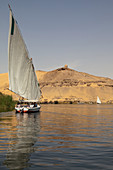 A traditional felucca sailing boat on the River Nile near Aswan, Egypt, North Africa, Africa