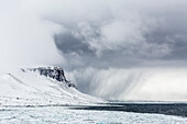 Snow storm approaching Alkefjelet, Cape Fanshawe, Spitsbergen, Svalbard, Arctic, Norway, Scandinavia, Europe