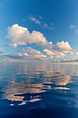 Reflected clouds in calm seas near the island of Deserta Grande, in the Ilhas Desertas, near Funchal, Madeira, Portugal, Atlantic, Europe
