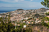 View from above the heart of the capital city of Funchal, Madeira, Portugal, Atlantic, Europe