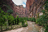 The towering cliffs of the Narrows in Zion National Park, Utah, United States of America, North America