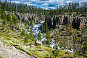 View over the Lewis River, Yellowstone National Park, UNESCO World Heritage Site, Wyoming, United States of America, North America