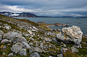 The rocky bay in Alkhornet, Svalbard, Arctic