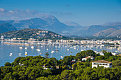 View over the bay of Port de Pollenca with many sailing boats, Mallorca, Balearic Islands, Spain, Mediterranean, Europe