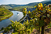 Cruise ship at the Moselle River bend at Bremm seen through the vineyards, Moselle Valley, Rhineland-Palatinate, Germany, Europe